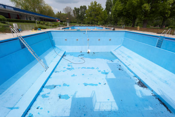 Best Mold removal after water damage  in Fox Chase, PA