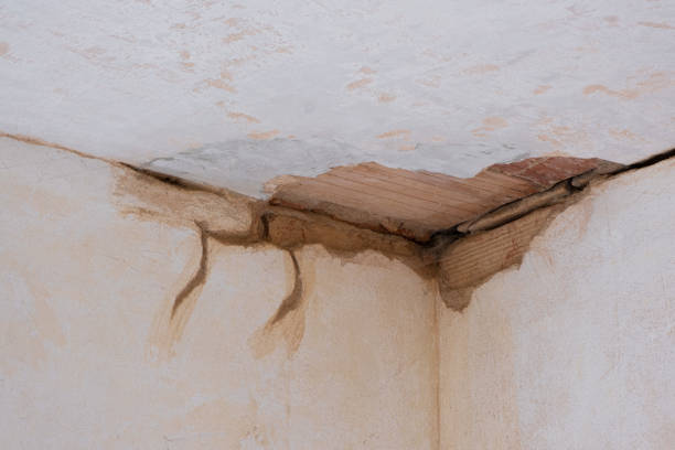 Best Water damage restoration process  in Fox Chase, PA