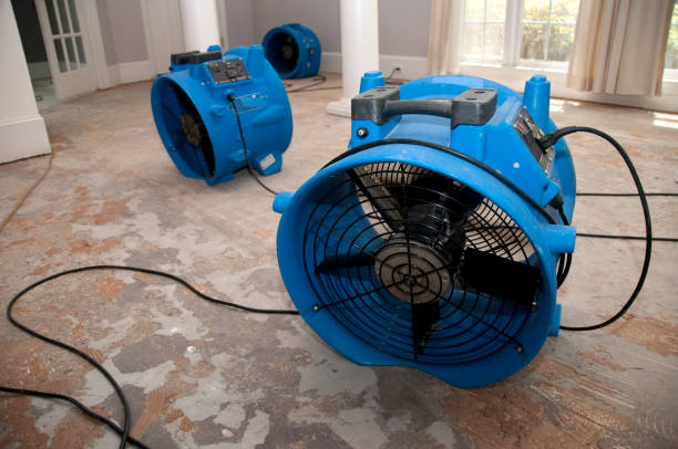 Best Water damage cleanup near me  in Fox Chase, PA