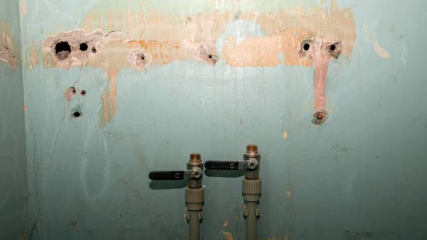 Best Carpet water damage restoration  in Fox Chase, PA