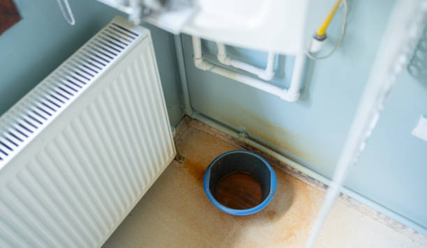 Best Fire Damage Restoration  in Fox Chase, PA